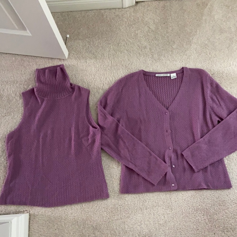 Autumn cashmere twin set